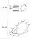 Fig. 30 - Image processing method and computer readable medium for image processing