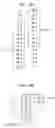 Fig. 171 - Signal processing device, method, and program