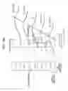 Fig. 182 - Signal processing device, method, and program