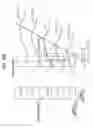 Fig. 191 - Signal processing device, method, and program