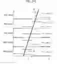 Fig. 203 - Signal processing device, method, and program
