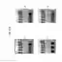 Fig. 403 - Image processing device and method, recording medium, and program