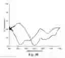 Fig. 20 - Display Incorporating Reflective Polarizer
