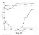 Fig. 25 - Display Incorporating Reflective Polarizer
