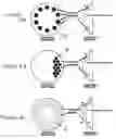 Fig. 06 - Device and method for tracking eye gaze direction