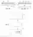 Fig. 04 - Imaging of Biological Samples