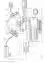 Fig. 33 - Sample analyzing method, sample analyzing apparatus, manufacturing method of organic EL element, manufacturing equipment, and recording medium