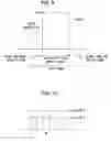 Fig. 09 - Image processing and/or forming apparatus for performing black generation and under color removal processes on selected pixels, image processing and/or forming method for the same, and computer-readable storage medium for storing program for causing computer to function as image processing and/or forming apparatus for the same