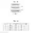 Fig. 28 - Information processing apparatus, information processing method, and computer program