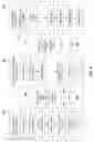 Fig. 05 - Memory paging