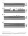 Fig. 09 - Fast-response micro-mechanical devices