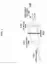 Fig. 02 - METHOD AND APPARATUS FOR METHOD FOR VIEWING AND ANALYZING OF ONE OR MORE BIOLOGICAL SAMPLES WITH PROGRESSIVELY INCREASING RESOLUTIONS