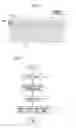 Fig. 07 - Microscope imaging apparatus and biological-specimen examination system