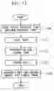 Fig. 12 - Microscope imaging apparatus and biological-specimen examination system