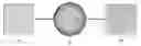 Fig. 01 - Tunable micro-aspherical lens and manufacturing method thereof