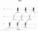 Fig. 09 - Magnetic disk drive and method for registering defective sector using timing control of pattern writing