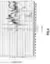 Fig. 05 - Electronic appliance and fall detection method