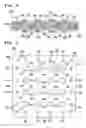 Fig. 03 - Built-in capacitor type wiring board and method for manufacturing the same
