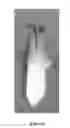 Fig. 06 - LAMP SHADE SYSTEM