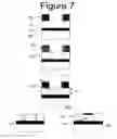 Fig. 09 - One-time programmable, non-volatile field effect devices and methods of making same