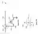 Fig. 55 - One-time programmable, non-volatile field effect devices and methods of making same