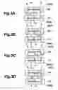 Fig. 04 - Magnetic memory