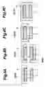 Fig. 05 - Magnetic memory