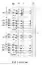 Fig. 02 - Pattern layout of word line transfer transistors in NAND flash memory which executes subblock erase