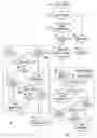Fig. 01 - Multi-level-cell programming methods of non-volatile memories