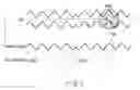 Fig. 03 - SYNCHRONICITY DETERMINING DEVICE, AND PHYSICAL ADDRESS DETECTING DEVICE AND METHOD