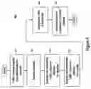 Fig. 08 - Methods and systems for checking expected network traffic