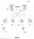 Fig. 03 - Extending sso for DHCP snooping to two box redundancy