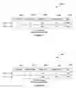 Fig. 06 - Extending sso for DHCP snooping to two box redundancy