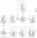 Fig. 06 - Message ring in a switching network
