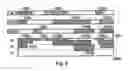 Fig. 05 - Method and apparatus for multiplexing dial-up internet sessions