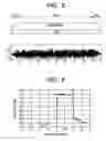 Fig. 06 - Communication apparatus, integrated circuit, and communication method