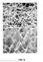 Fig. 09 - Highly efficient group-III nitride based light emitting diodes via fabrication of structures on an N-face surface