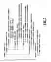 Fig. 03 - BASE STATION APPARATUS OF MOBILE COMMUNICATION SYSTEM