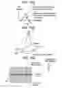 Fig. 13 - Image reconstructing method and X-ray CT apparatus