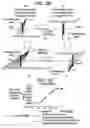 Fig. 22 - Image reconstructing method and X-ray CT apparatus