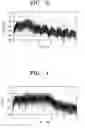 Fig. 04 - Adjustable chaotic signal generator using pulse modulation for ultra wideband (UWB) communications and chaotic signal generating method thereof