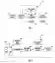 Fig. 06 - SWITCHING STRUCTURES FOR HEARING ASSISTANCE DEVICE