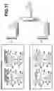 Fig. 12 - Face detection method, apparatus, and program