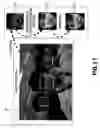 Fig. 12 - Robot apparatus, face identification method, image discriminating method and apparatus