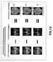 Fig. 13 - Robot apparatus, face identification method, image discriminating method and apparatus