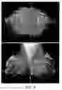 Fig. 03 - Cognition integrator and language