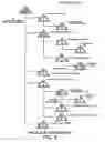 Fig. 07 - Cognition integrator and language