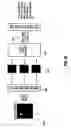 Fig. 34 - Systems and methods for minimizing aberrating effects in imaging systems