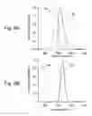 Fig. 07 - Nanocomposites