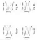 Fig. 09 - Nanocomposites